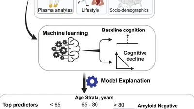 Can integration of Alzheimer's plasma biomarkers with MRI, cardiovascular, genetics, and lifestyle measures improve cognition prediction? featured image
